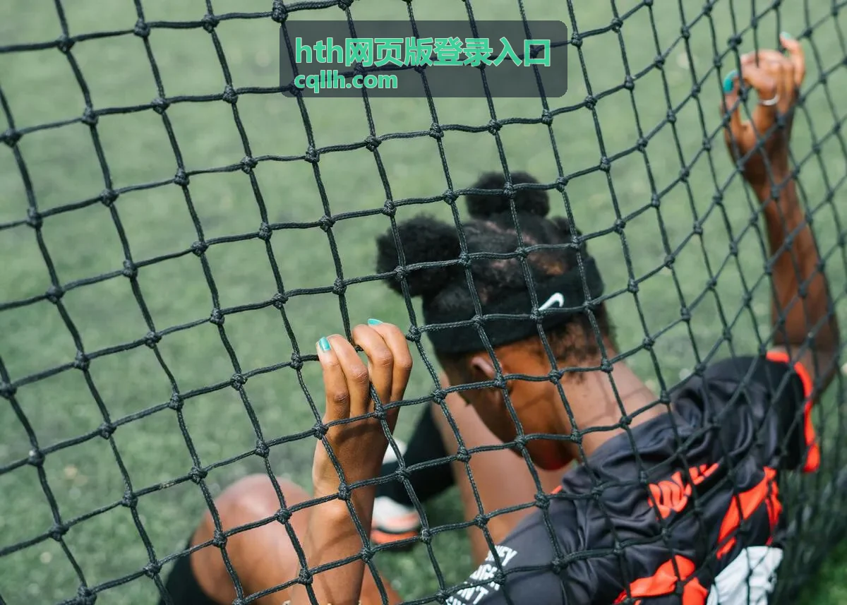 HTH网页版登录入口平台访问界面